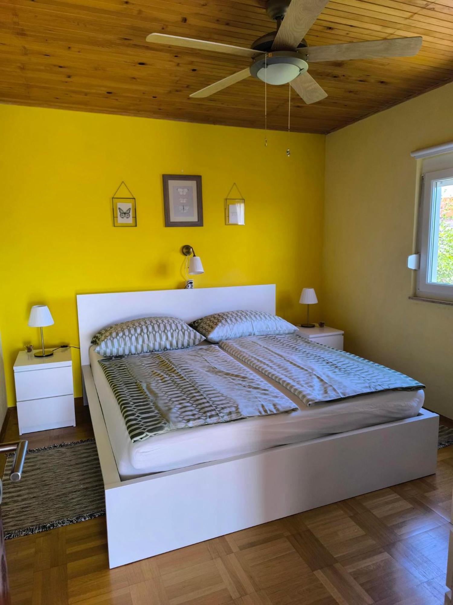 Panoramic view studio Palit Zewnętrze zdjęcie